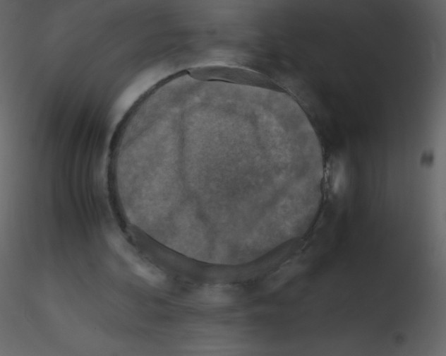 X0000115740292200912241653