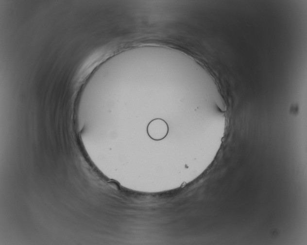 X0000115740293200912241653