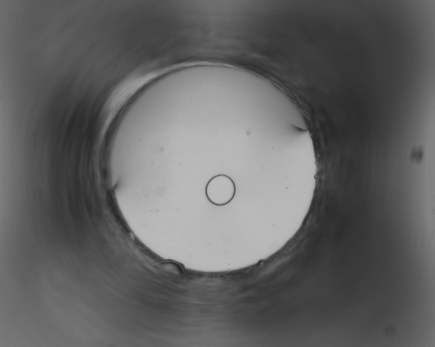 X0000115740294200912241653