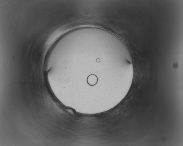 X0000115740296200912241653