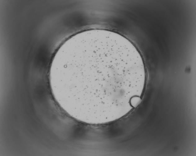 X0000115740297200912241653