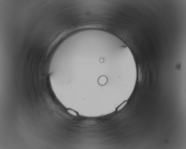 X0000115740300200912241653