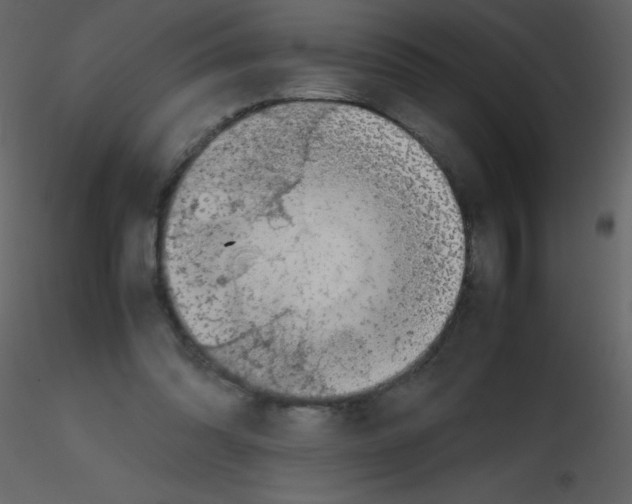 X0000115740302200912241653