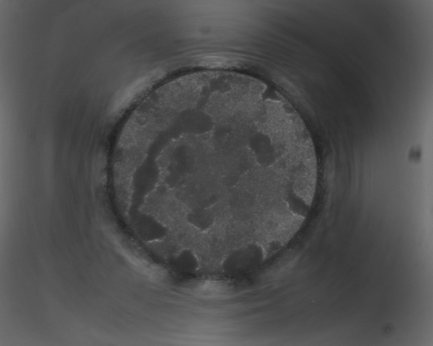 X0000115740303200912241653