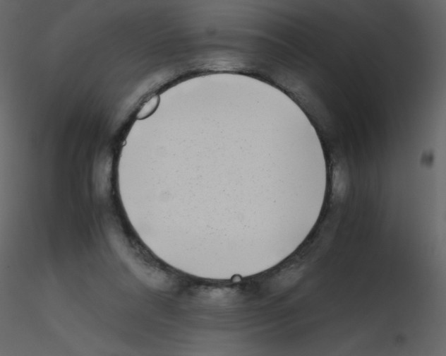 X0000115740304200912241653