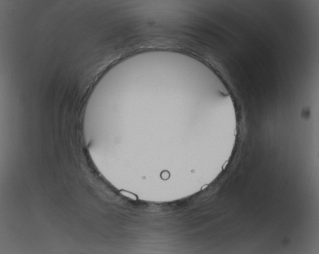 X0000115740305200912241653