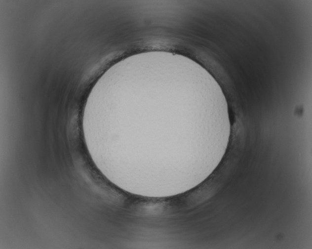 X0000115740306200912241653