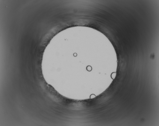 X0000115740307200912241653