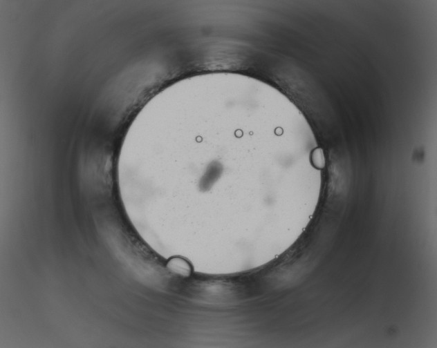 X0000115740308200912241653