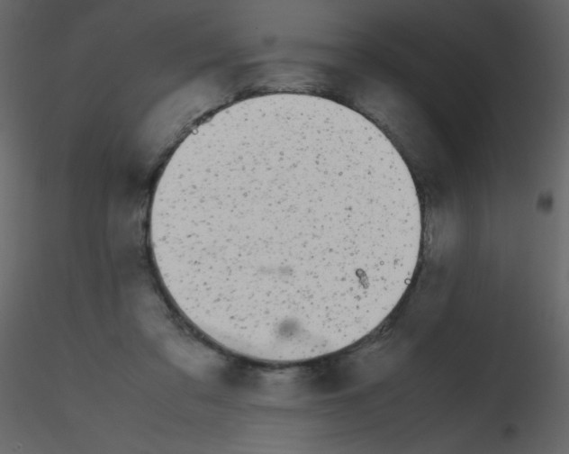 X0000115740309200912241653