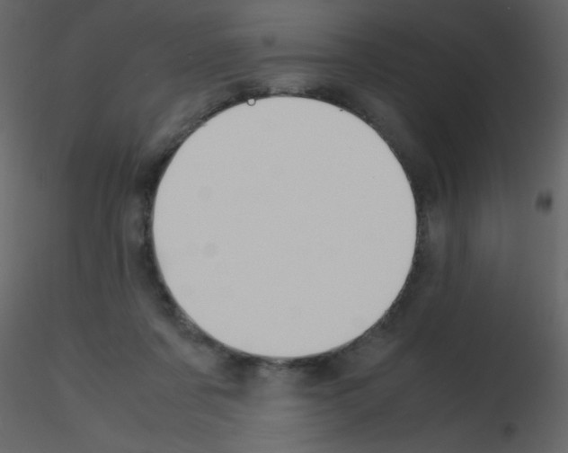 X0000115740311200912241652