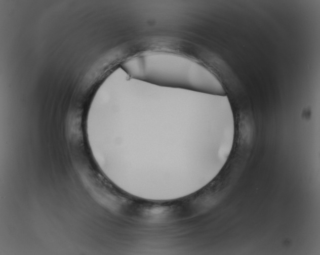 X0000115740312200912241652