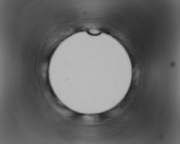 X0000115740315200912241652