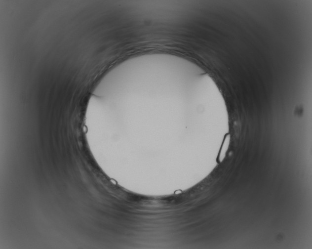 X0000115740316200912241652