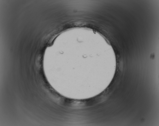 X0000115740319200912241652