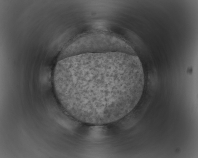 X0000115740320200912241652