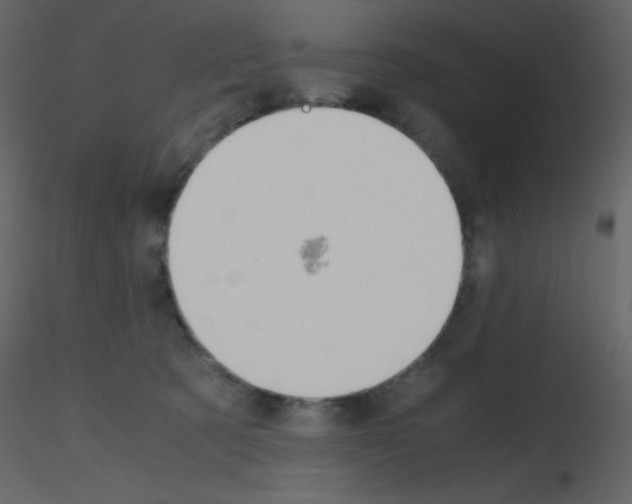 X0000115740321200912241652