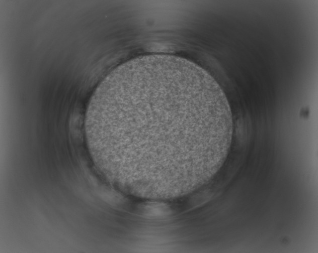 X0000115740322200912241652