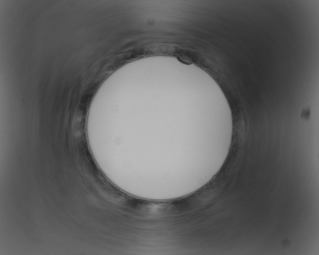 X0000115740323200912241652