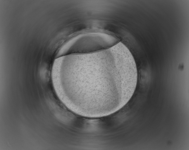 X0000115740324200912241652