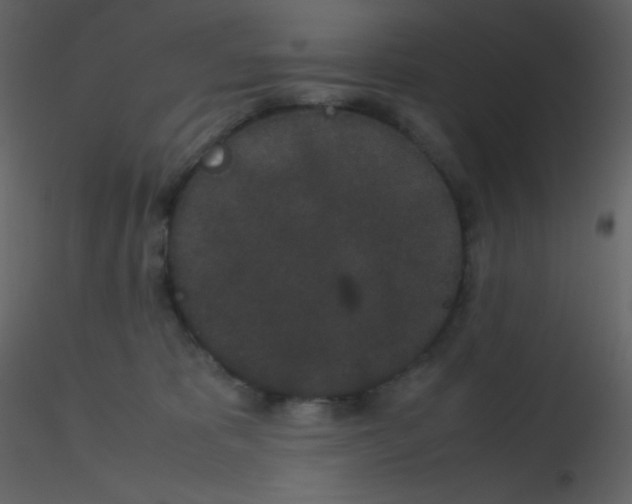 X0000115740325200912241652