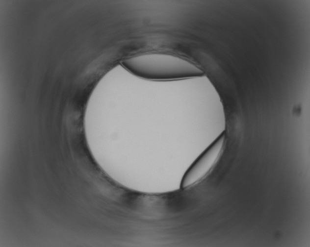 X0000115740327200912241652