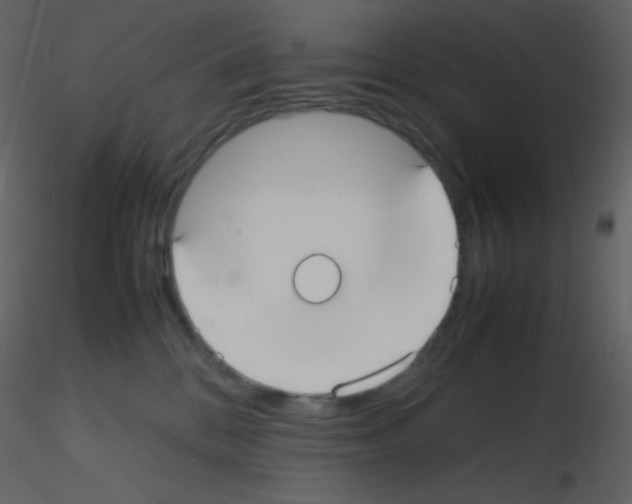 X0000115740328200912241652