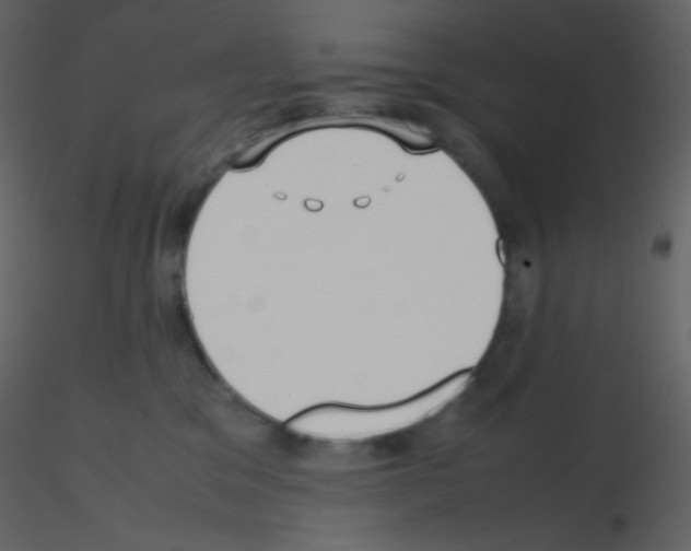 X0000115740329200912241652