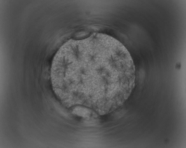 X0000115740331200912241652