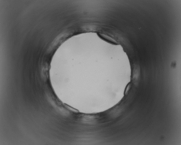 X0000115740332200912241652