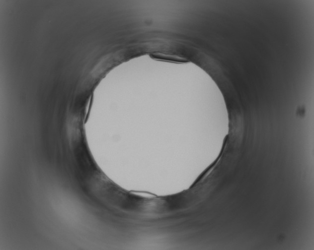 X0000115740333200912241652