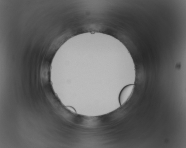 X0000115740334200912241652