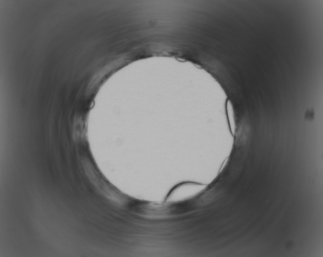 X0000115740335200912241652