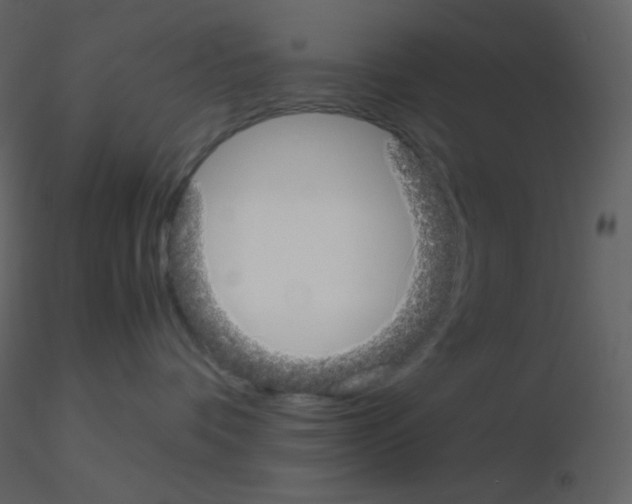 X0000115740336200912241652