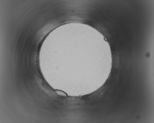 X0000115740338200912241652