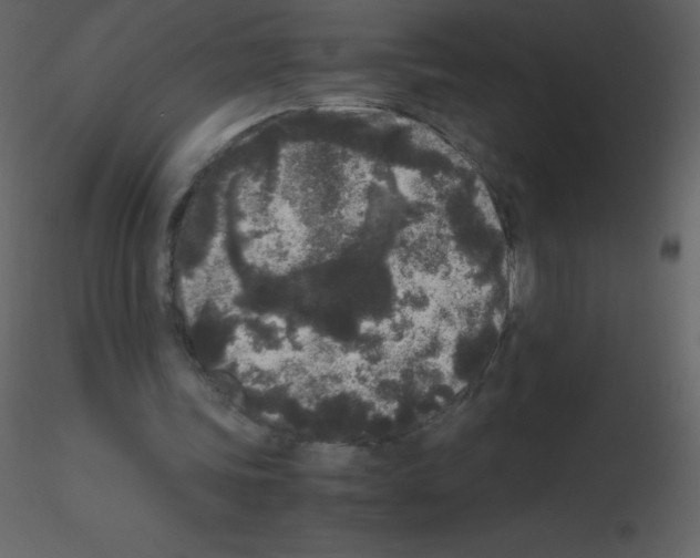 X0000115740339200912241652