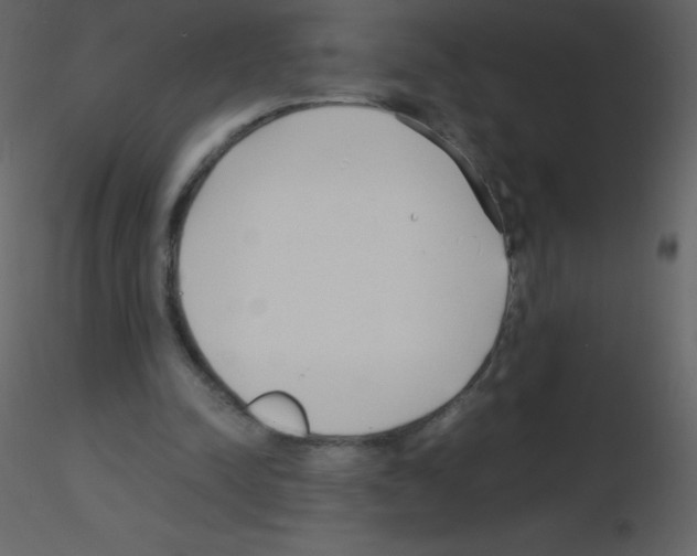 X0000115740342200912241652