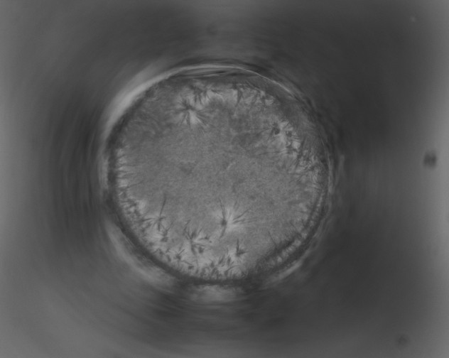 X0000115740343200912241652