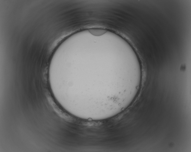 X0000115740345200912241652