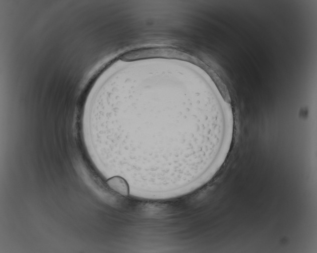 X0000115740346200912241652