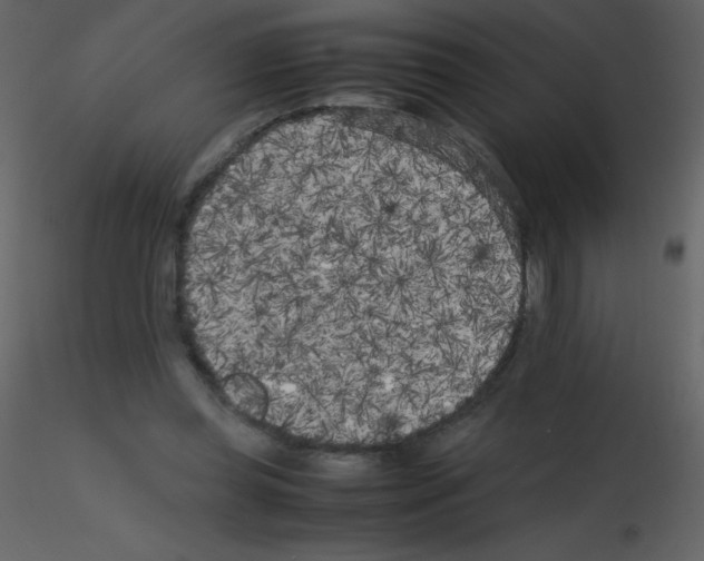 X0000115740349200912241652