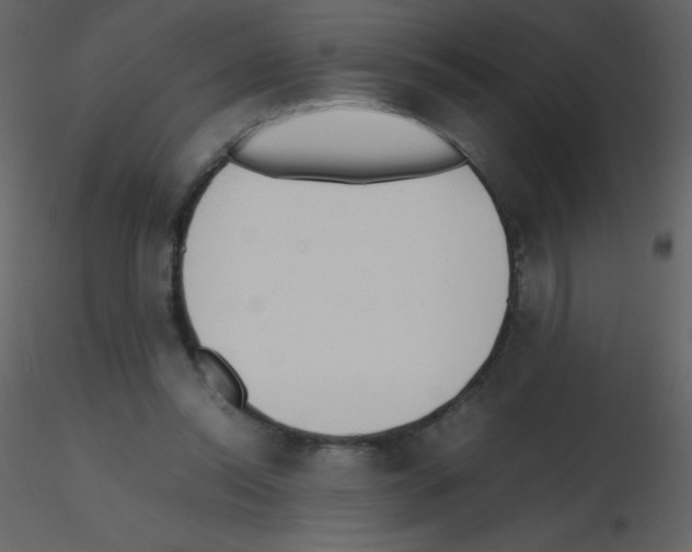 X0000115740350200912241652