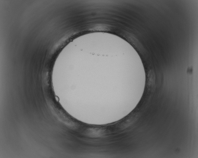 X0000115740351200912241652