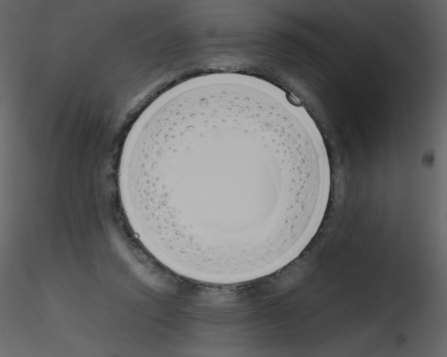 X0000115740354200912241652