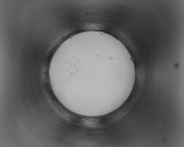 X0000115740359200912241652