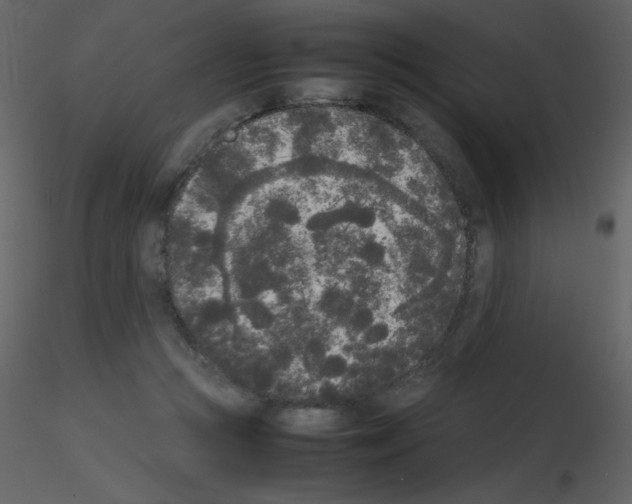 X0000115740361200912241652