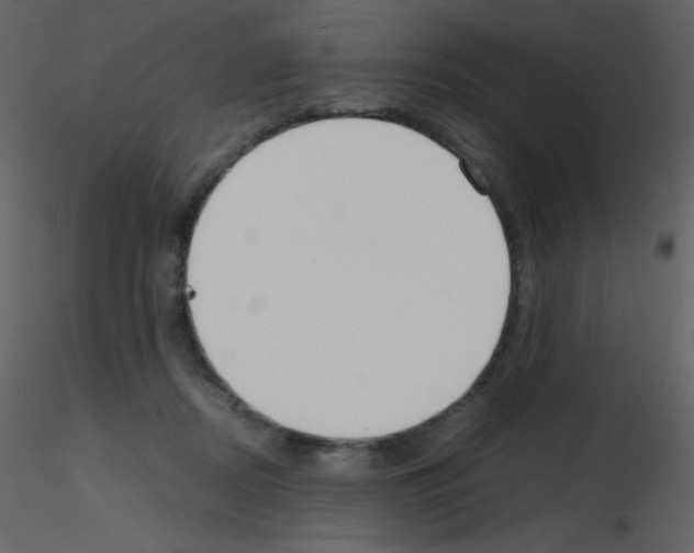 X0000115740362200912241652