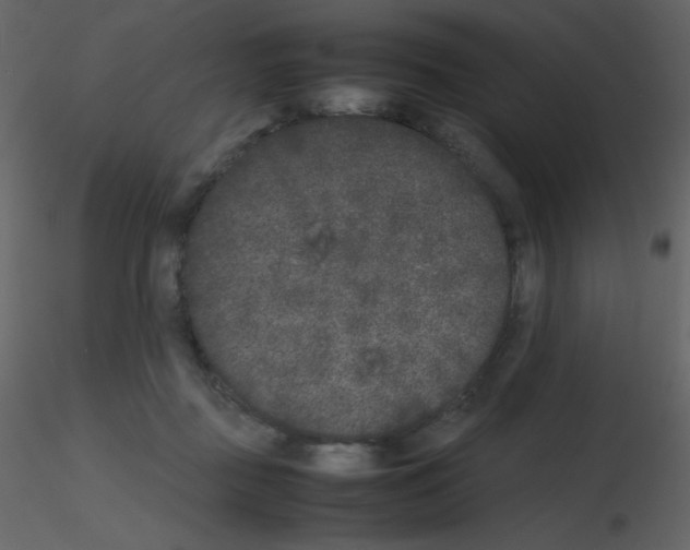 X0000115740363200912241652