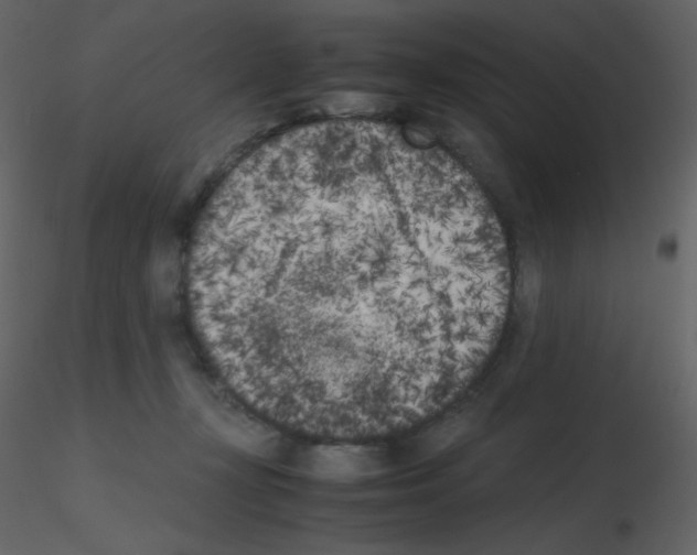 X0000115740367200912241652