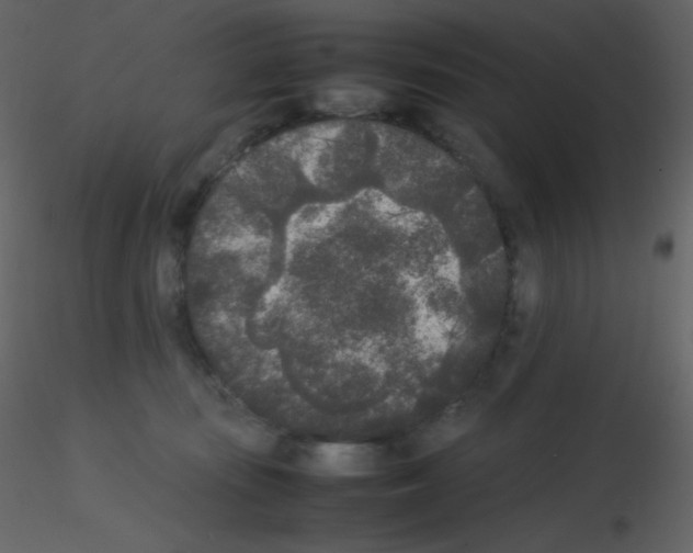 X0000115740371200912241652